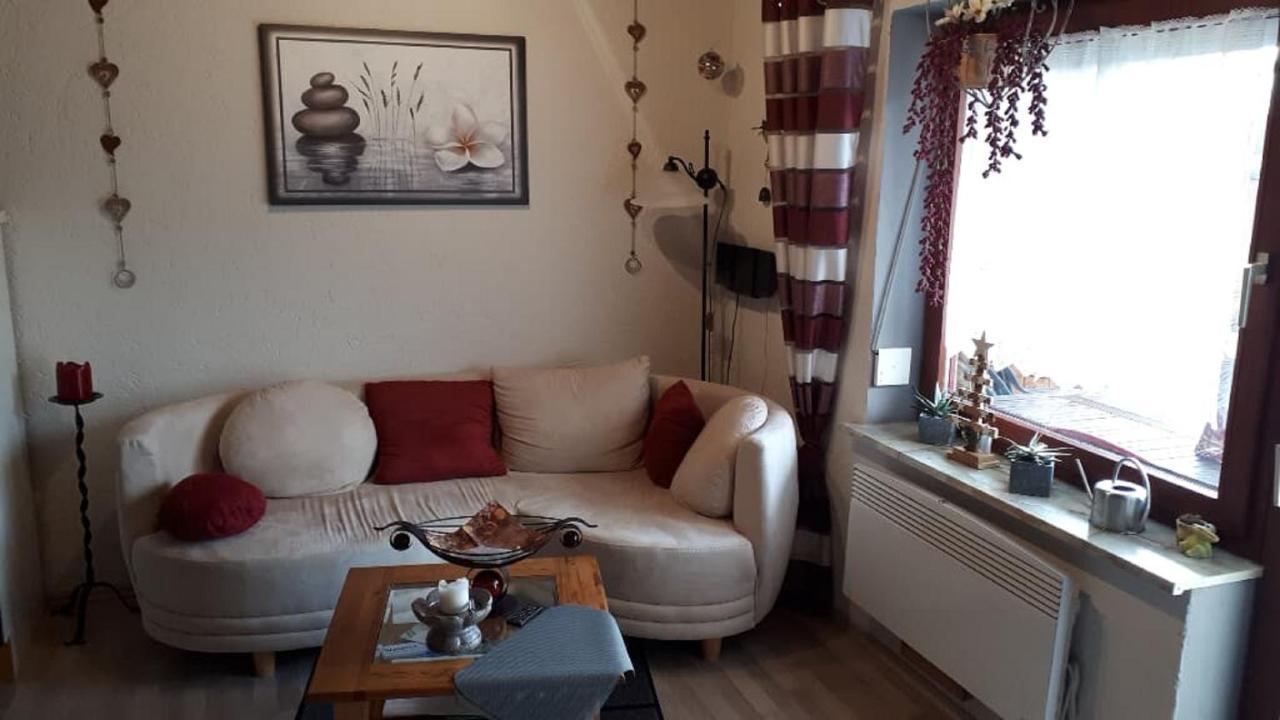 Haus Monika Apartment Waldmuenchen Luaran gambar